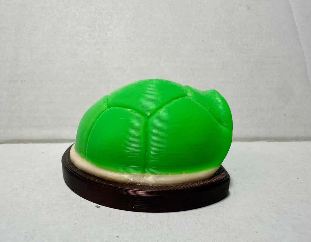 Magnetic Turtle hide
